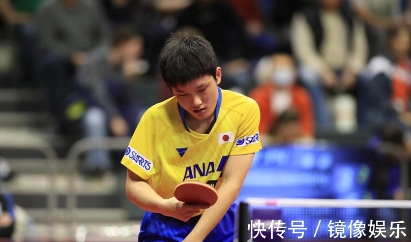 主题解析 主题解析