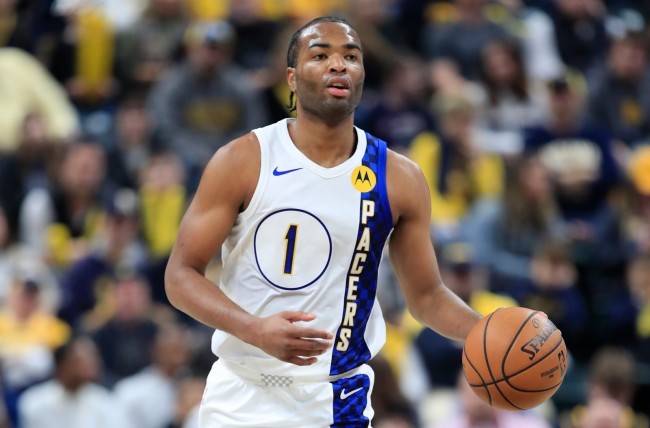 便以一种颇 便以一种颇