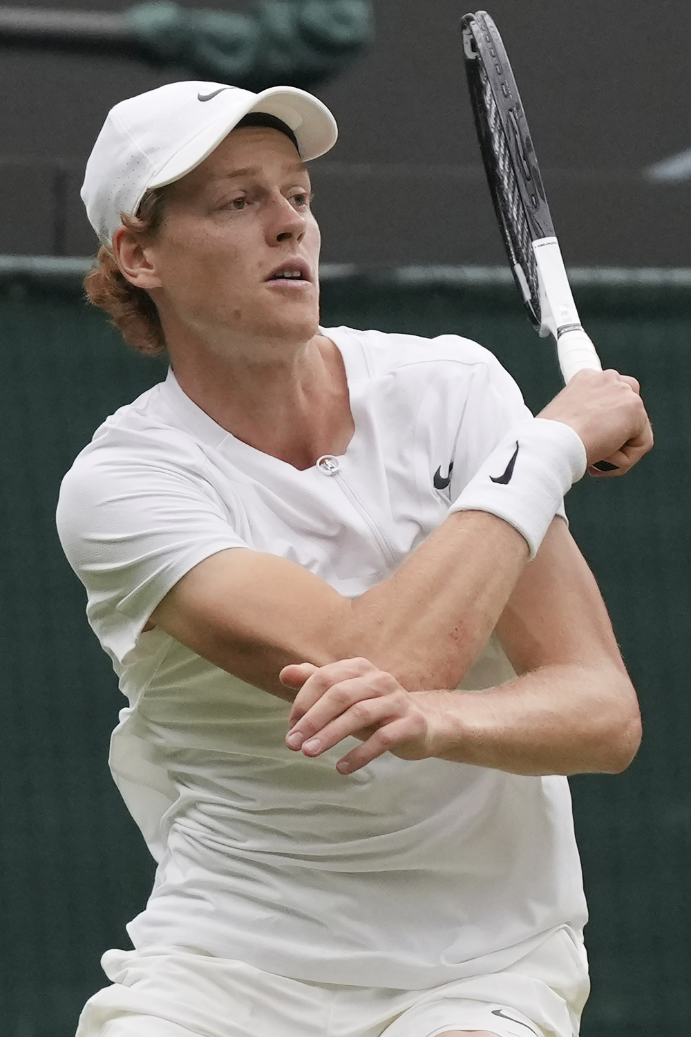 他们增加了 他们增加了