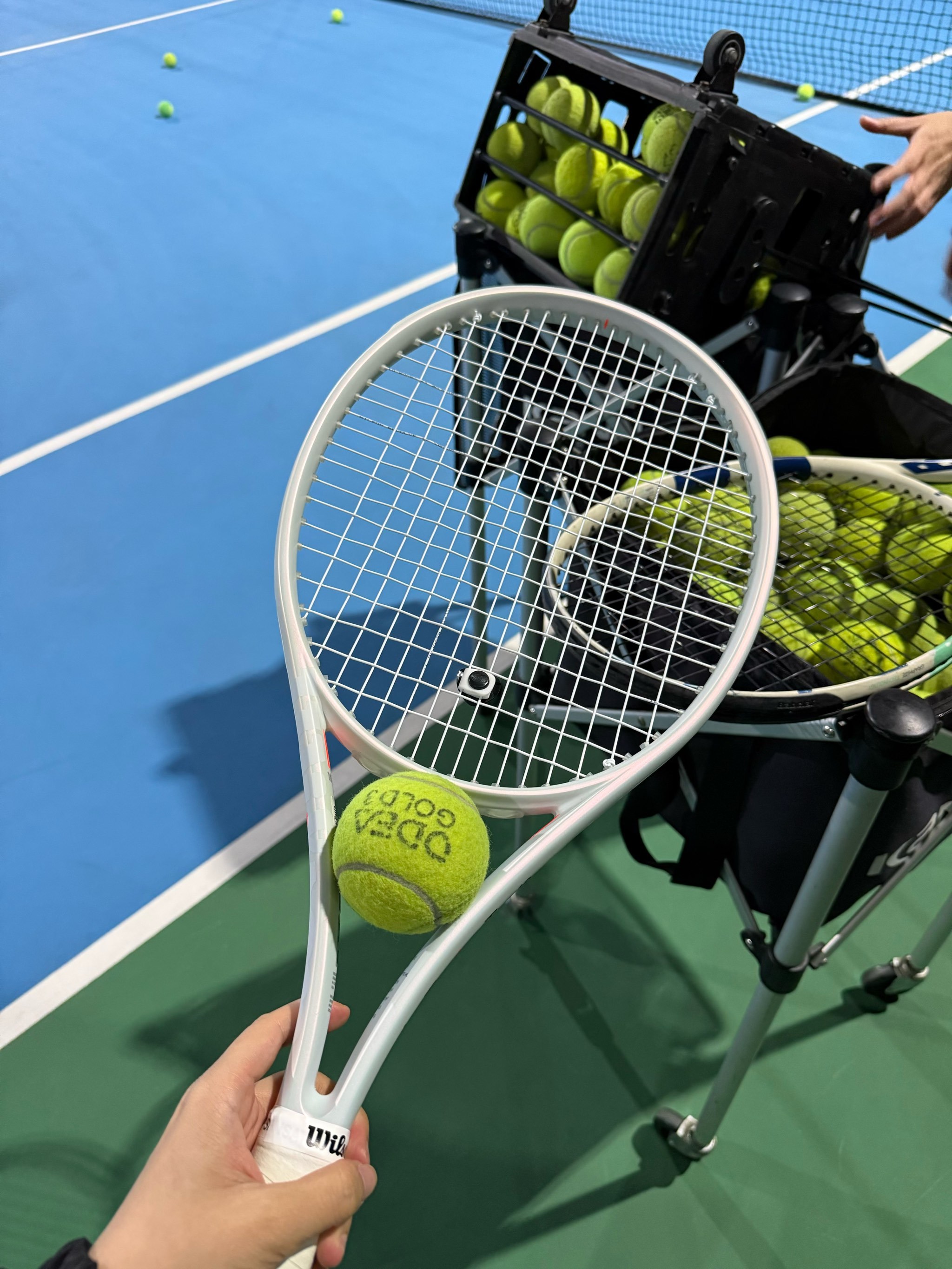 世运守护者 世运守护者