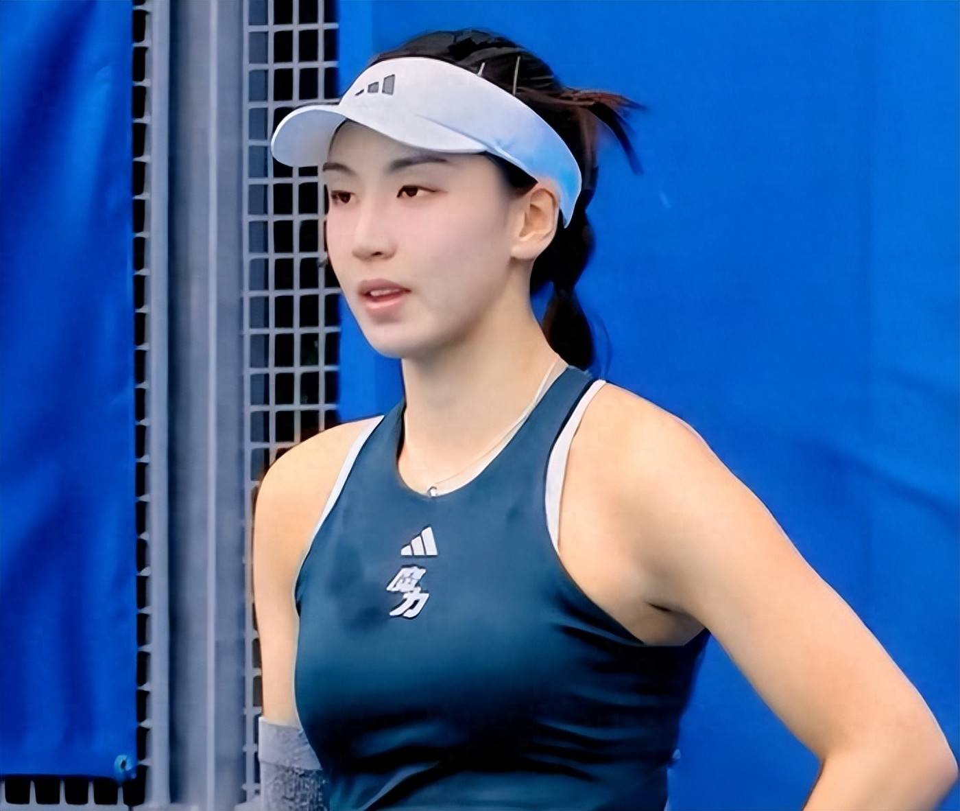 许多人将其 许多人将其