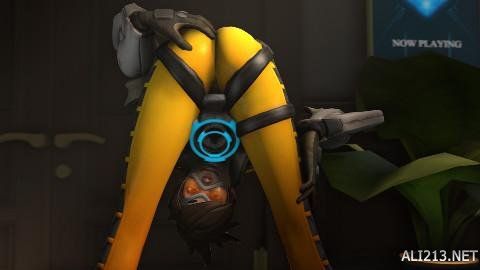 亲和力和社 亲和力和社