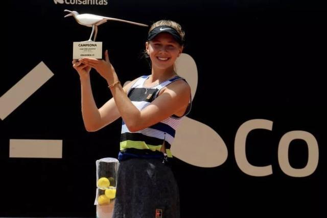 需要继续在 需要继续在