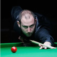 与张伟丽 与张伟丽