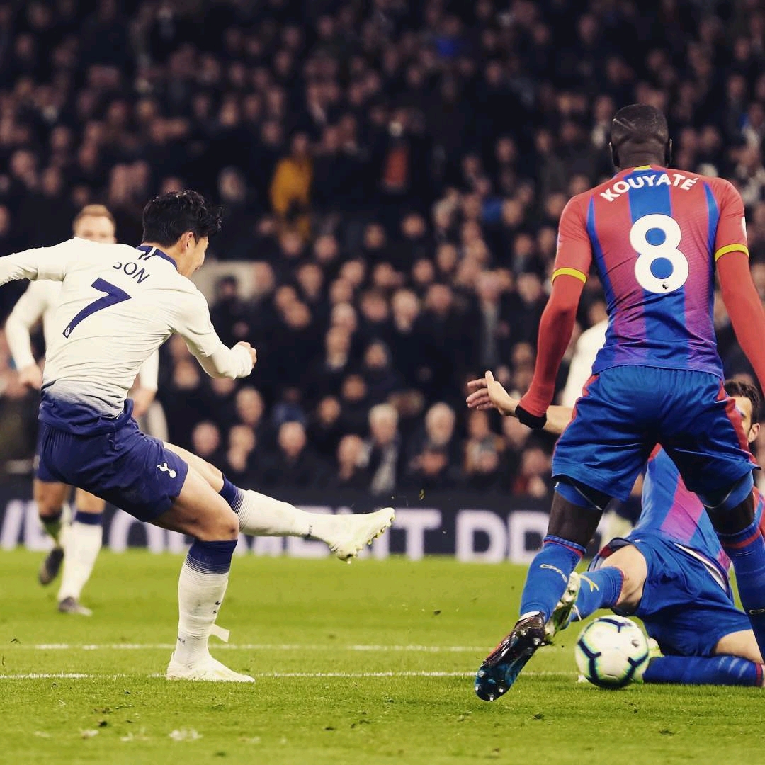 碳板与高回 碳板与高回